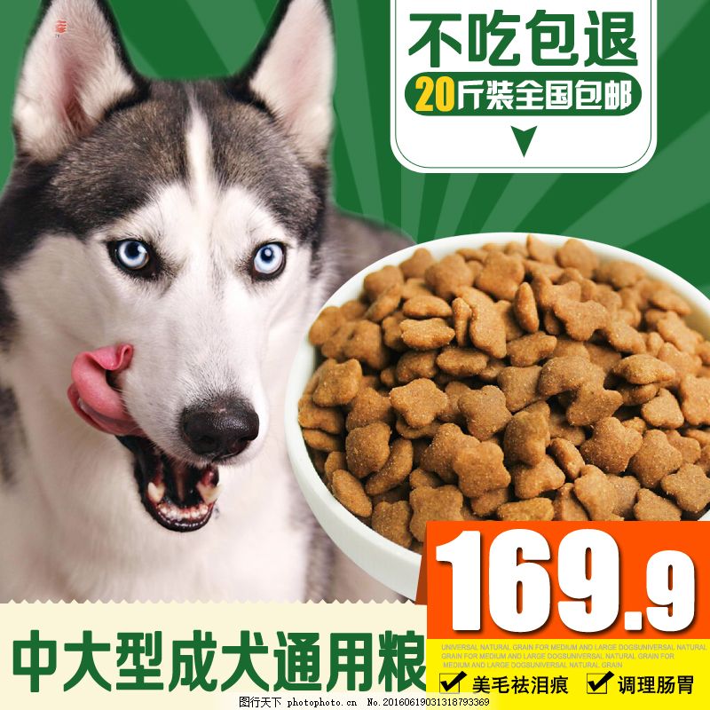 寵物食品主圖設(shè)計(jì)要點(diǎn)與市場趨勢分析