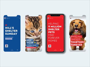 以愛(ài)為筆，以食為畫(huà)——專訪寵物食品包裝設(shè)計(jì)師